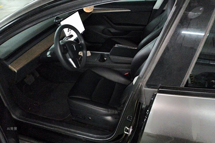 Tesla Model 3 2022 car image #17