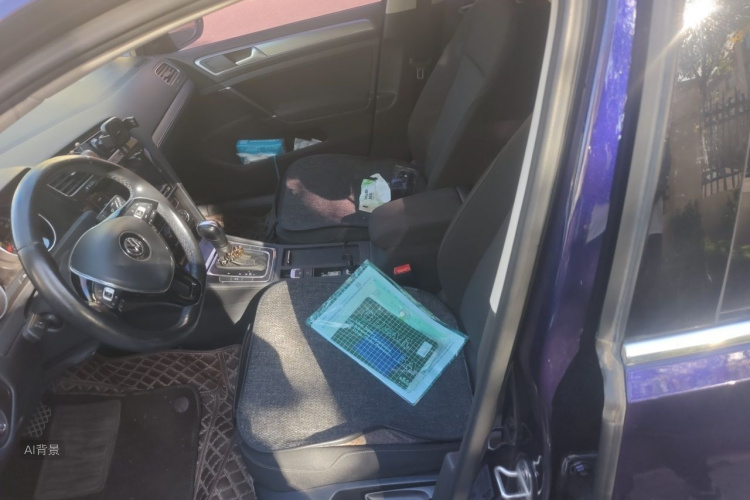 Volkswagen Golf 2019 car image #17