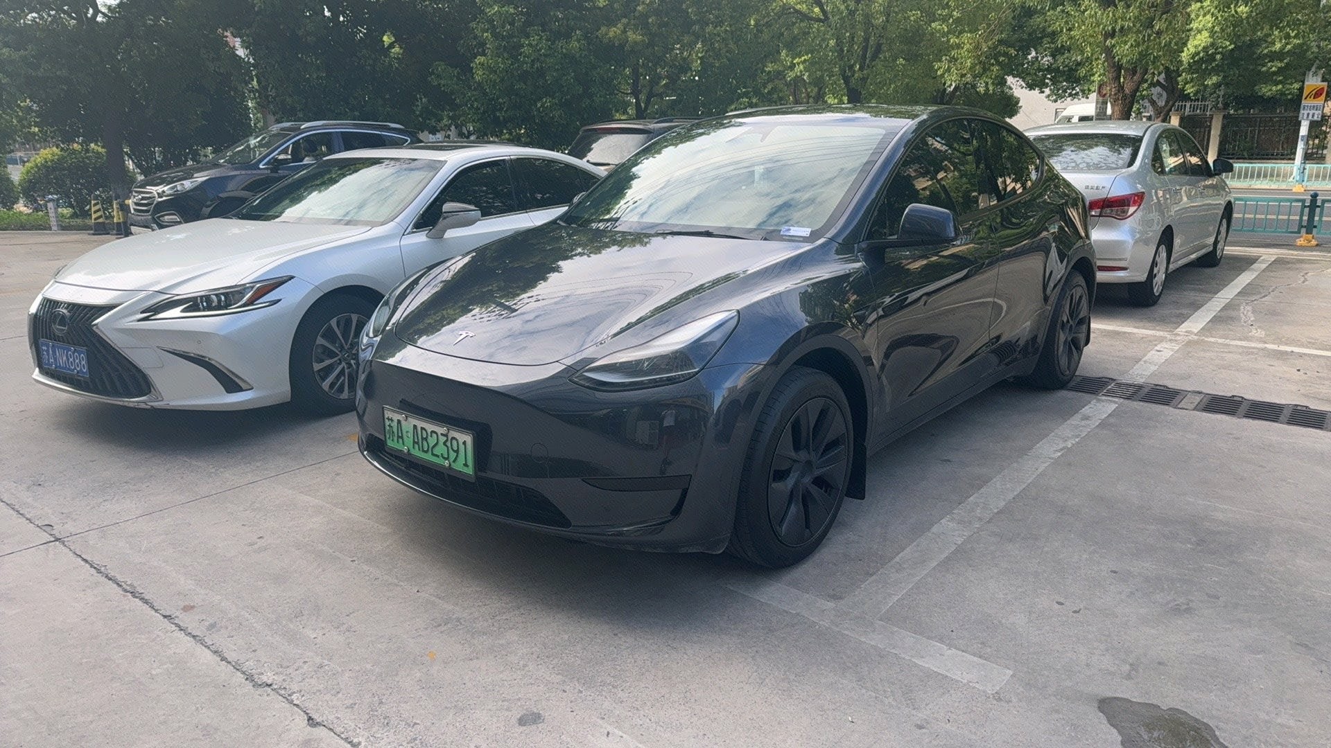 Tesla Model Y 2024 car image 