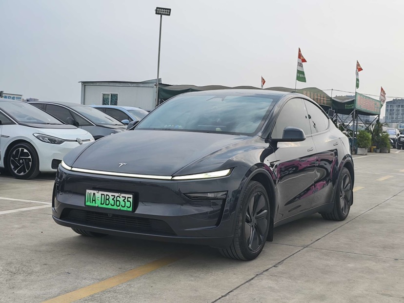 Tesla Model Y 2025 car image 