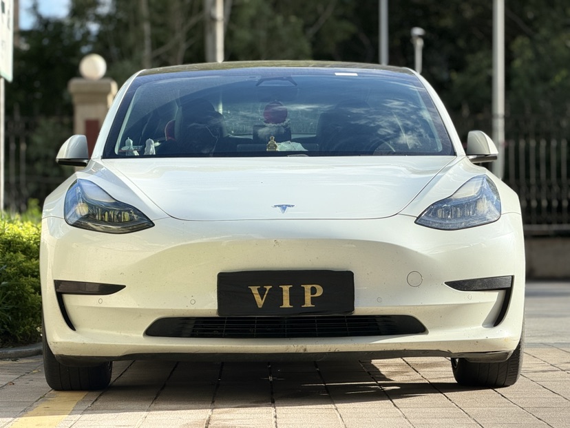 Tesla Model 3 2021 car image #2