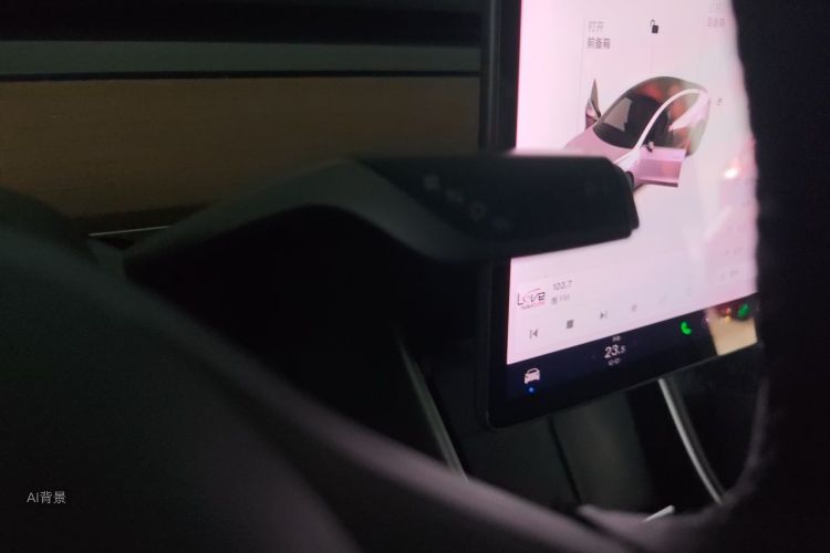Tesla Model 3 2020 #16 Tesla Model 3 2020 car image #16