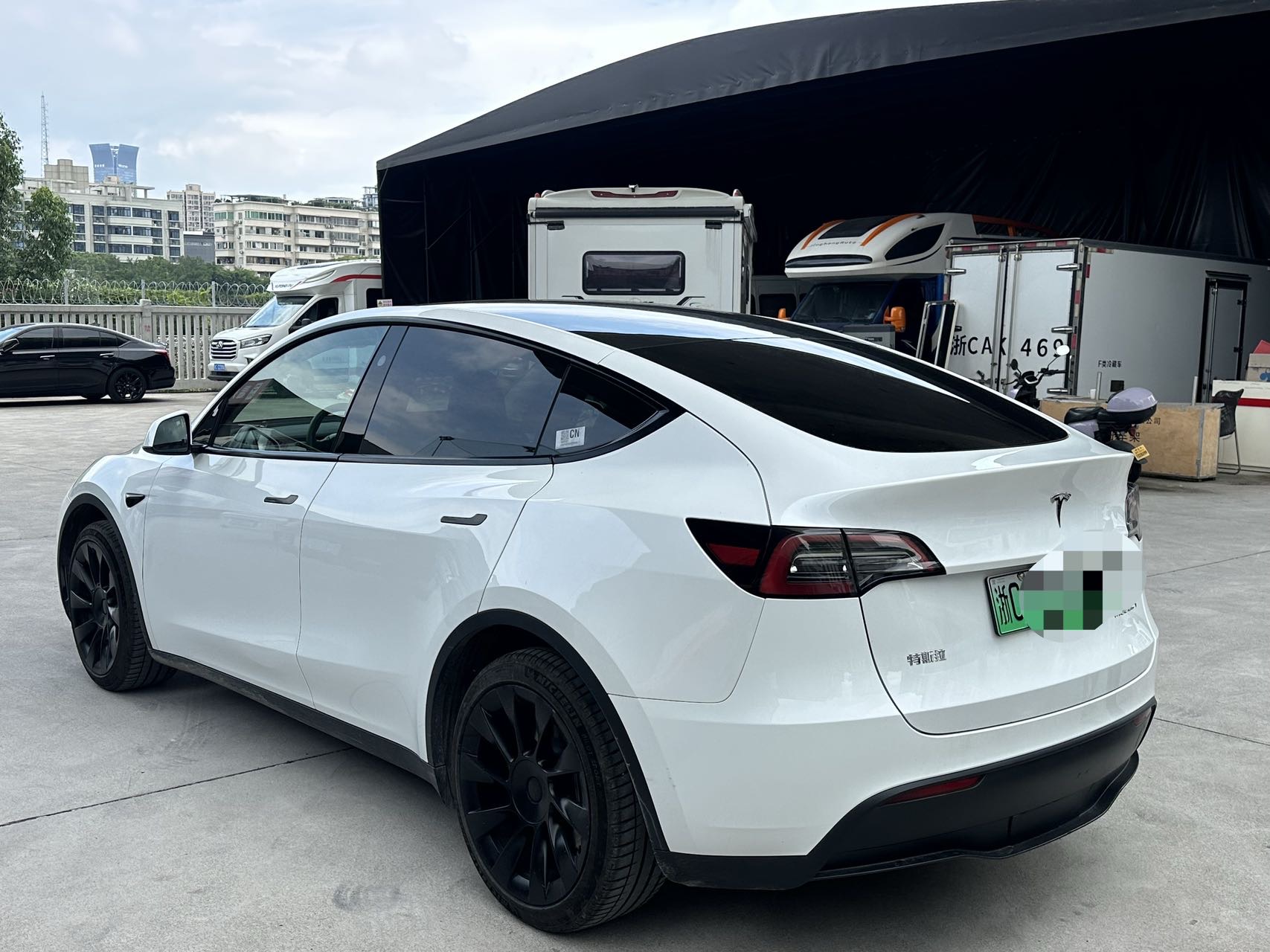 Tesla Model Y 2024 #6 Tesla Model Y 2024 car image #6