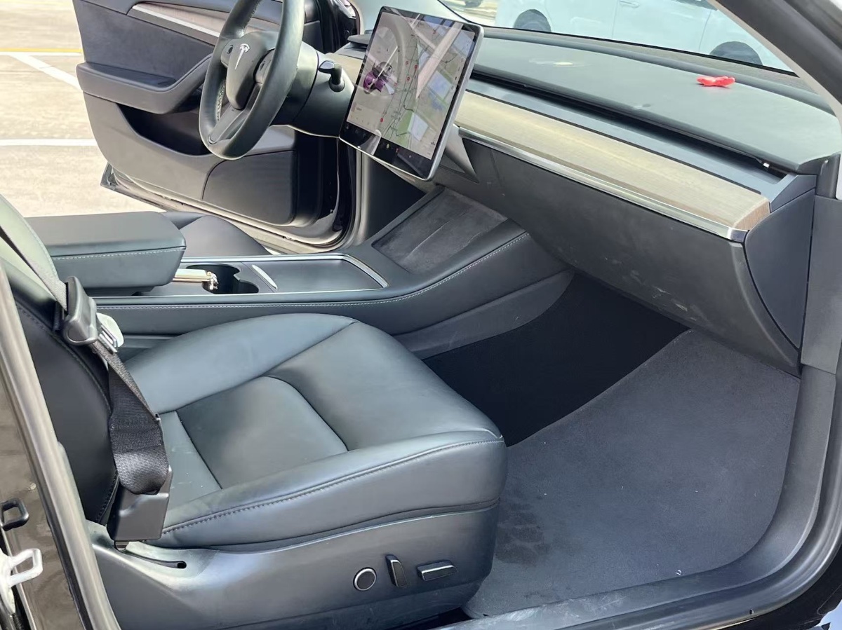 Tesla Model 3 2021 car image #4