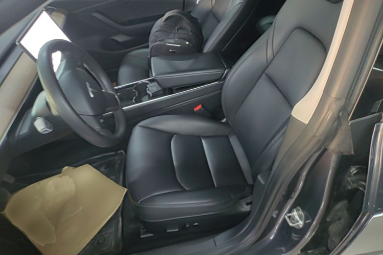 Tesla Model 3 2020 car image #19