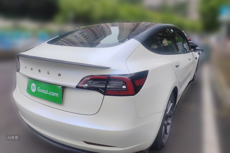 Tesla Model 3 2021 car image #7