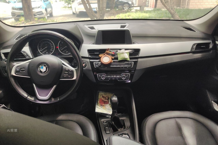 BMW X1 2017 car image #11