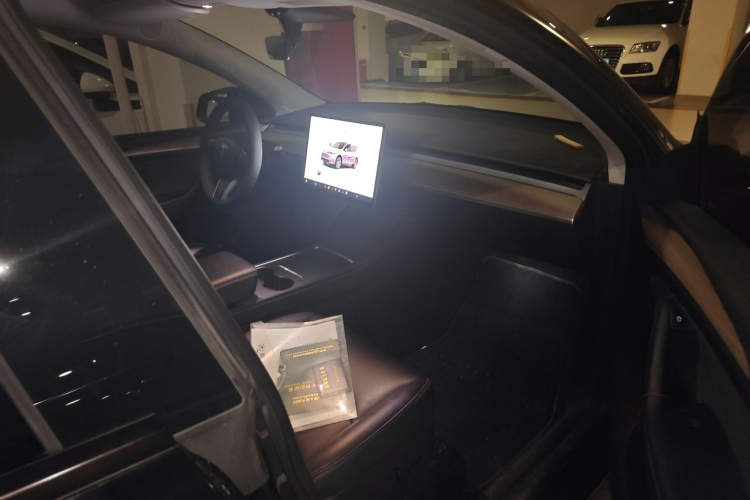 Tesla Model Y 2022 car image #21