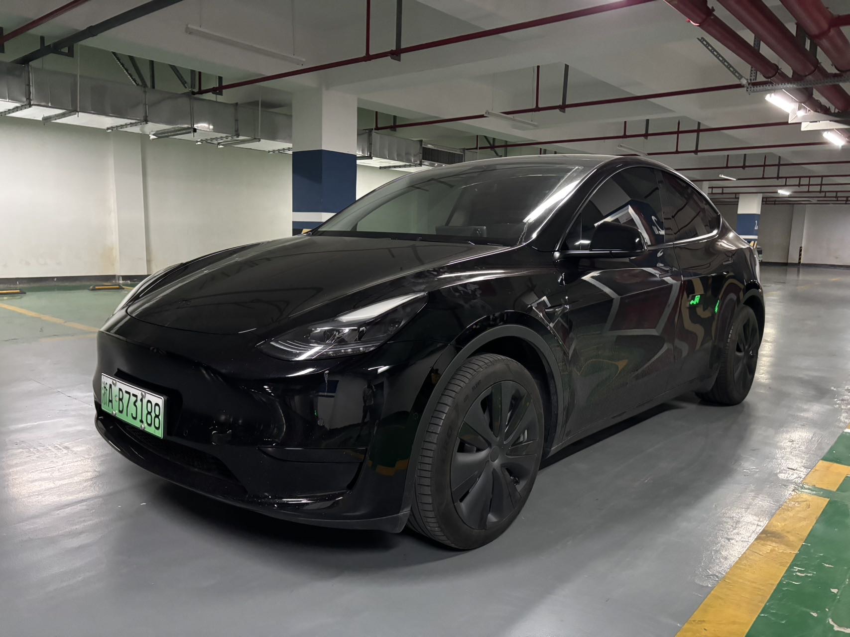 Tesla Model Y 2023 car image 