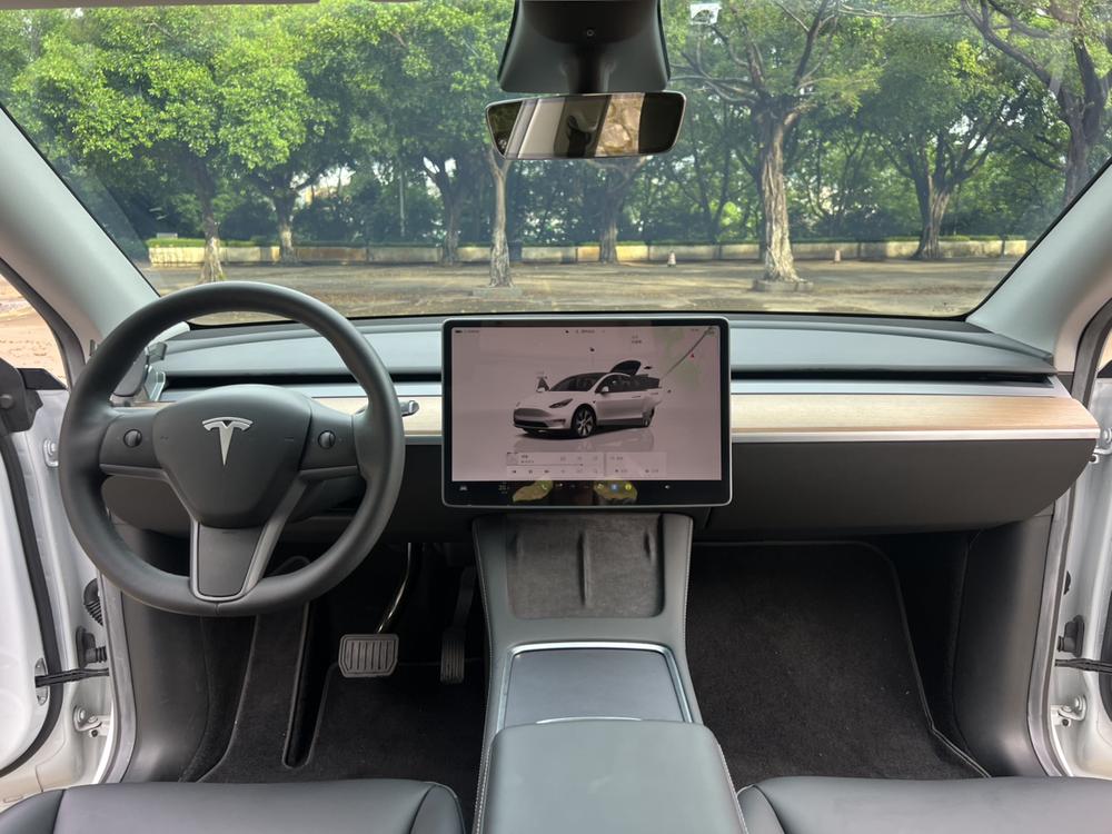 Tesla Model Y 2022 car image #19