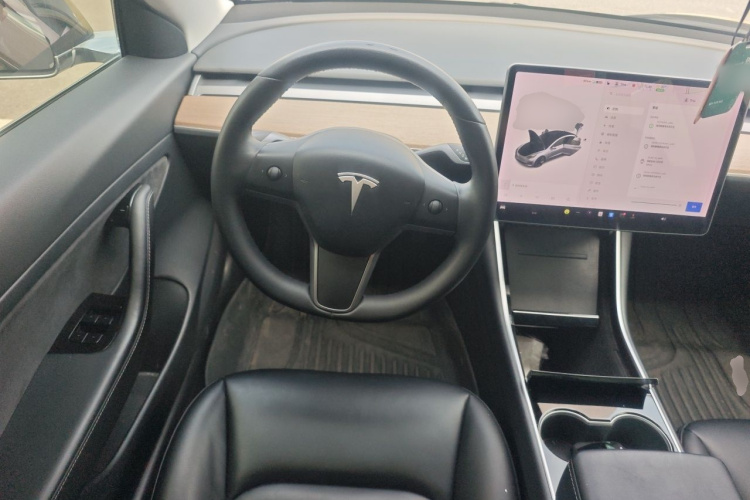 Tesla Model 3 2020 car image #15
