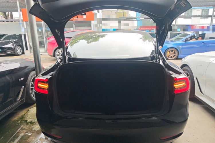 Tesla Model 3 2021 #19 Tesla Model 3 2021 car image #19