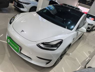 Tesla Model 3 2020 Tesla Model 3 2020 car image