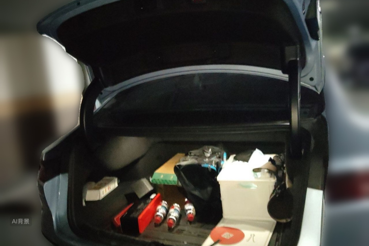 BYD Han 2023 car image #21