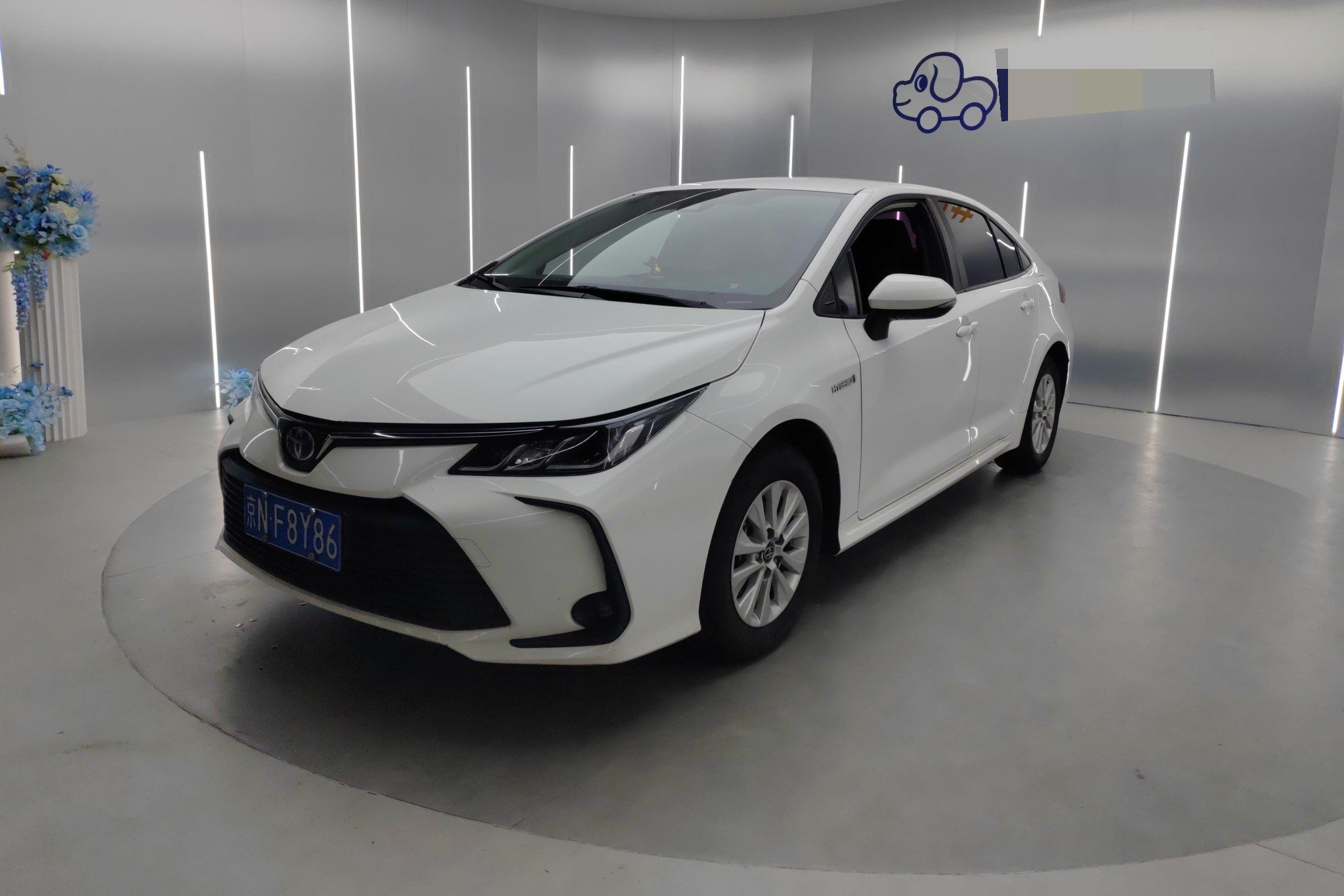 Toyota Corolla 2022 Toyota Corolla 2022 car image