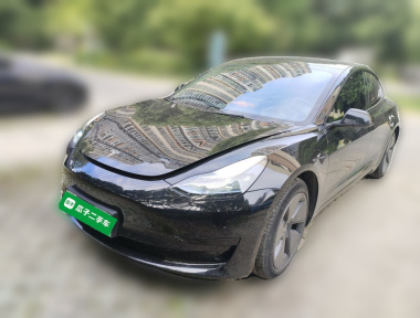 Tesla Model 3 2023 Tesla Model 3 2023 car image