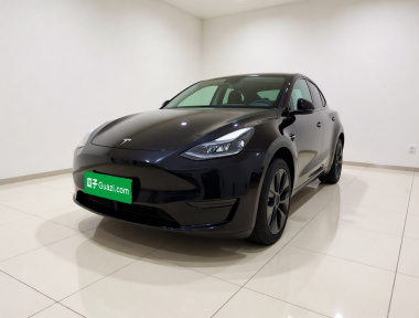 Tesla Model Y 2024 Tesla Model Y 2024 car image