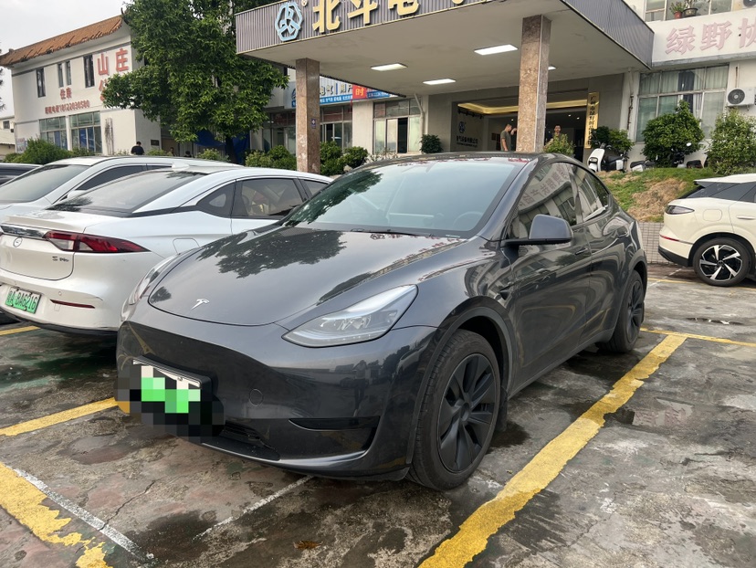Tesla Model Y 2024 Tesla Model Y 2024 car image