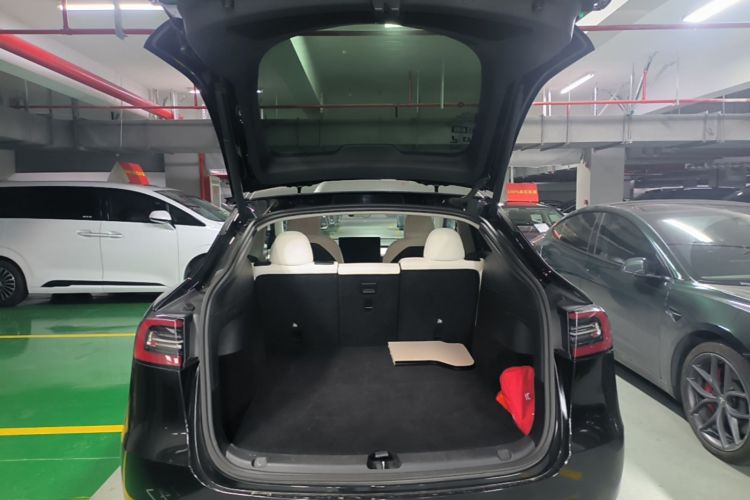 Tesla Model Y 2021 car image #19