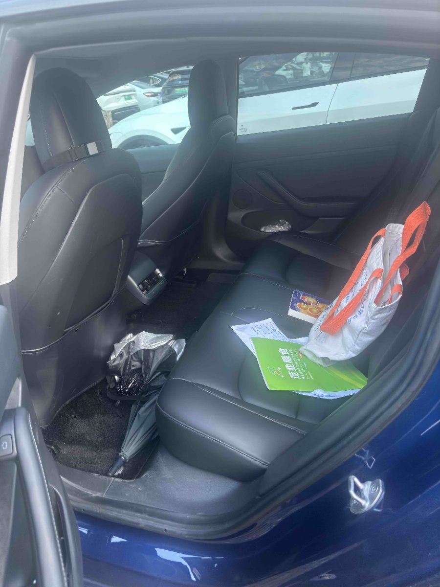 Tesla Model 3 2022 car image #3