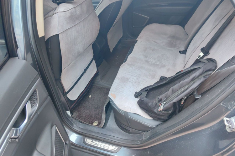 GEELY Emgrand GS 2016 car image #19