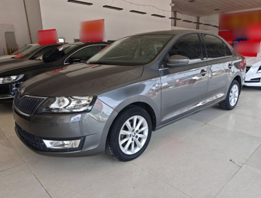 Skoda Rapid 2014 Skoda Rapid 2014 car image