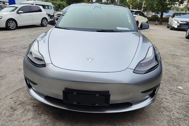 Tesla Model 3 2021 #3 Tesla Model 3 2021 car image #3
