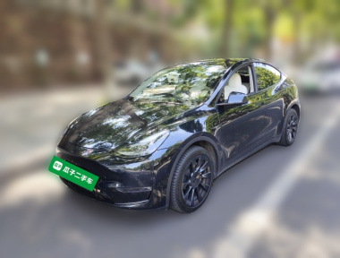 Tesla Model Y 2023 Tesla Model Y 2023 car image