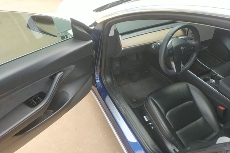 Tesla Model 3 2020 #16 Tesla Model 3 2020 car image #16