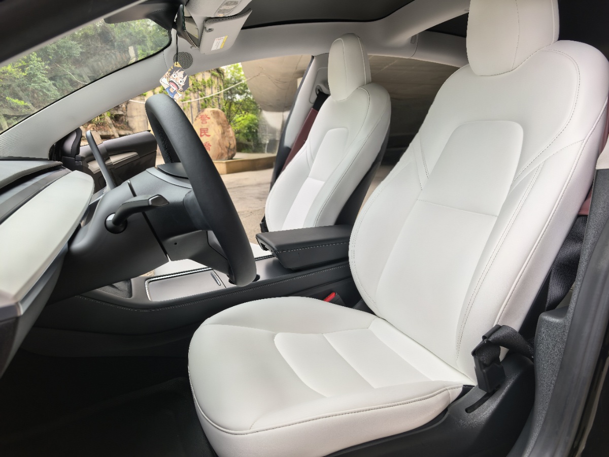 Tesla Model 3 2021 #5 Tesla Model 3 2021 car image #5