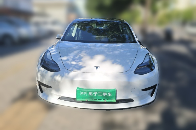 Tesla Model 3 2022 #3 Tesla Model 3 2022 car image #3