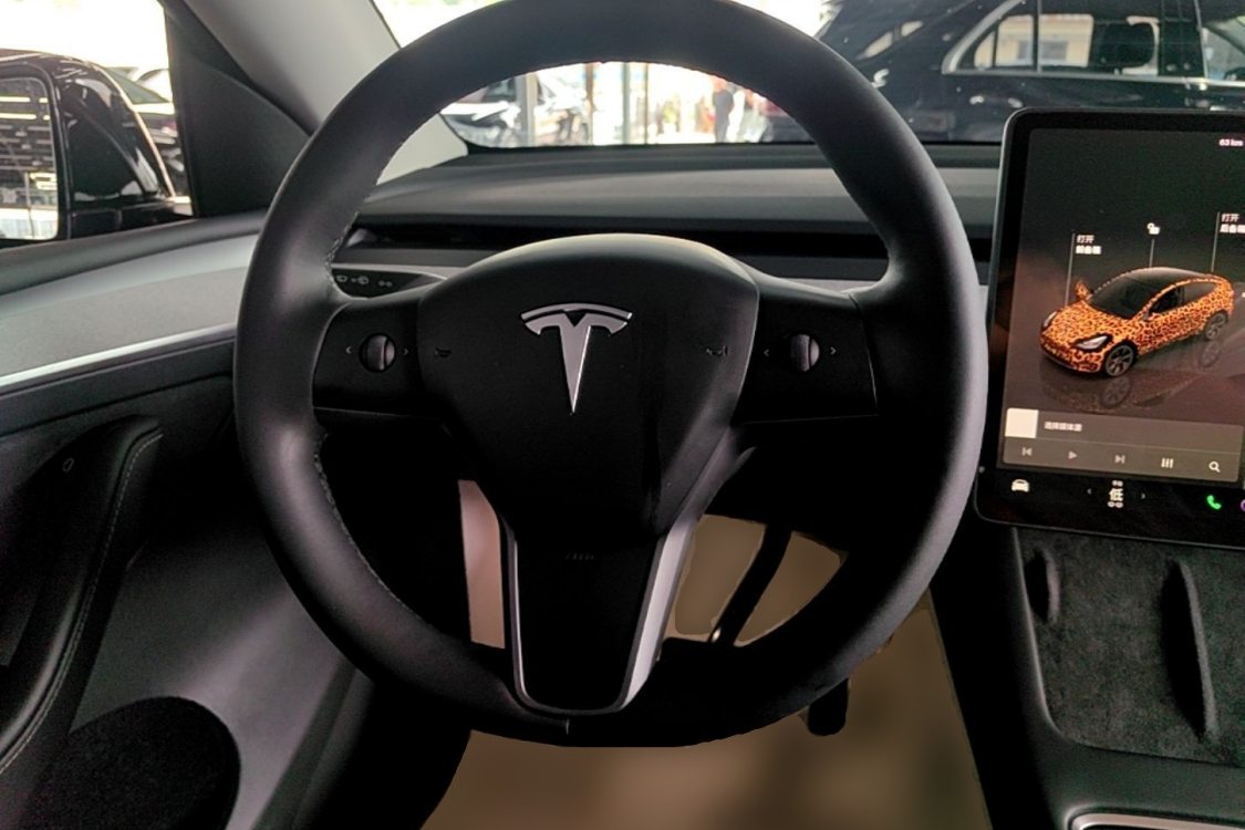 Tesla Model Y 2023 car image #16
