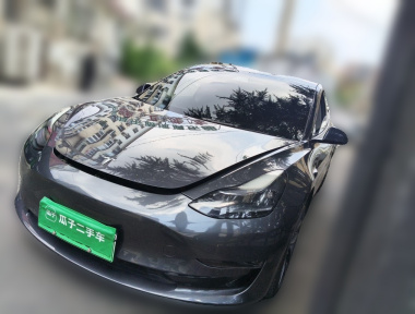 Tesla Model 3 2021 car image 