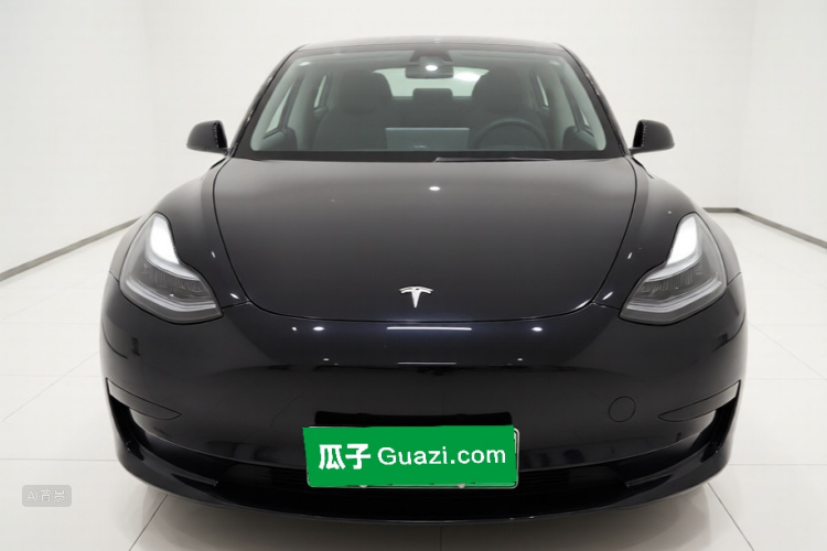 Tesla Model 3 2021 #3 Tesla Model 3 2021 car image #3