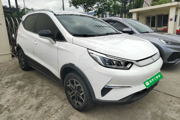BYD Yuan Pro 2021 #4 BYD Yuan Pro 2021 car image #4
