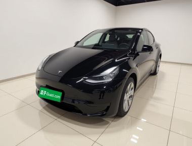Tesla Model Y 2022 car image 