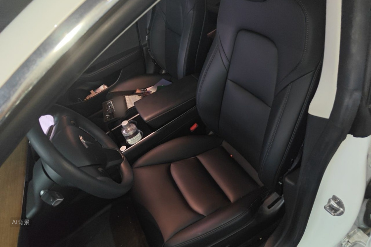 Tesla Model 3 2020 car image #18
