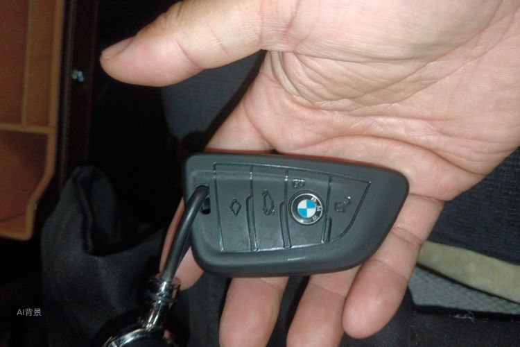 BMW 3 Series 2021 car image #10