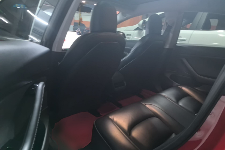 Tesla Model 3 2020 car image #17