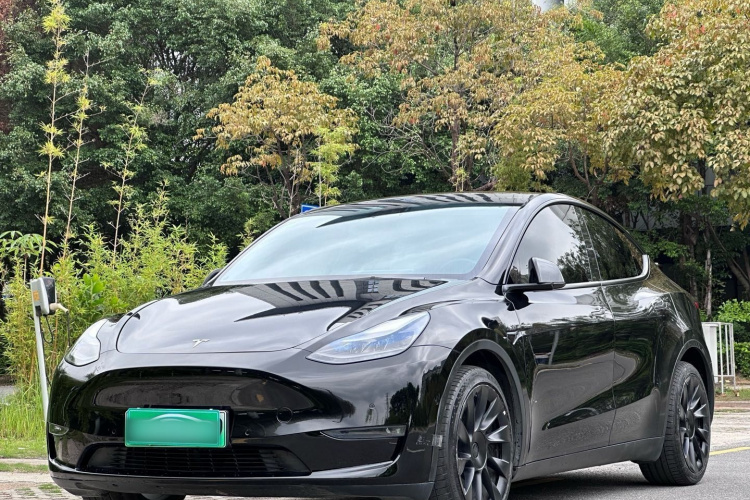 Tesla Model Y 2021 #2 Tesla Model Y 2021 car image #2