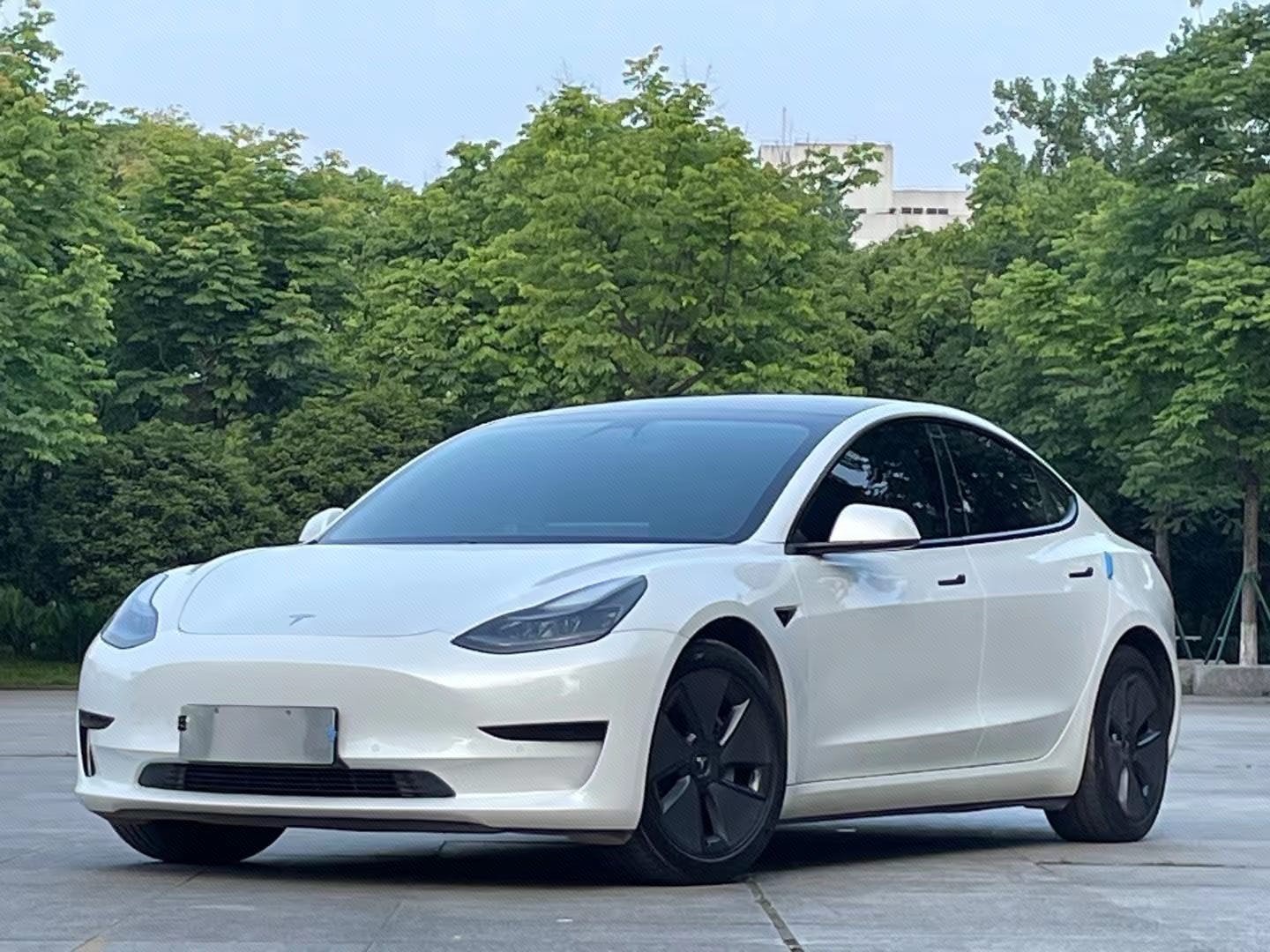 Tesla Model 3 2021 immagine di auto 