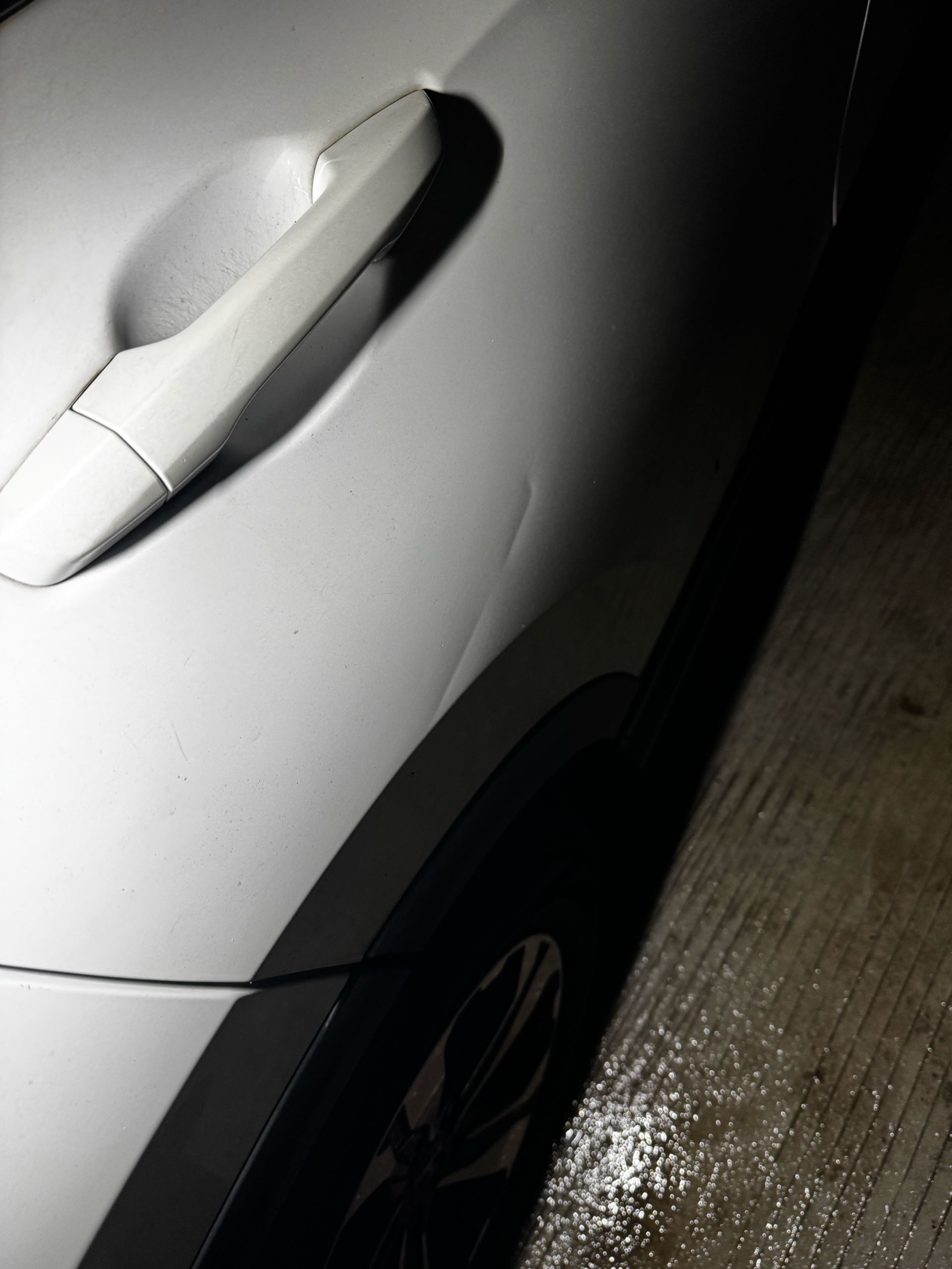 2019 #13 2019 car image #13