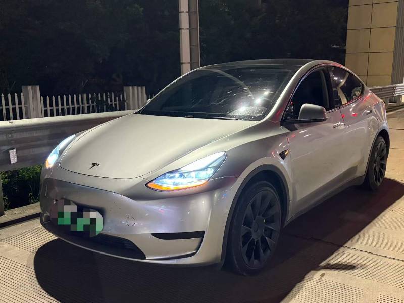 Tesla Model Y 2022 Tesla Model Y 2022 immagine di auto
