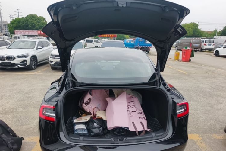 Tesla Model 3 2020 immagine di auto #19