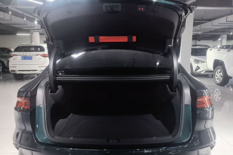 BYD Han 2023 #19 BYD Han 2023 immagine di auto #19