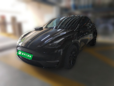 Tesla Model Y 2021 Tesla Model Y 2021 car image