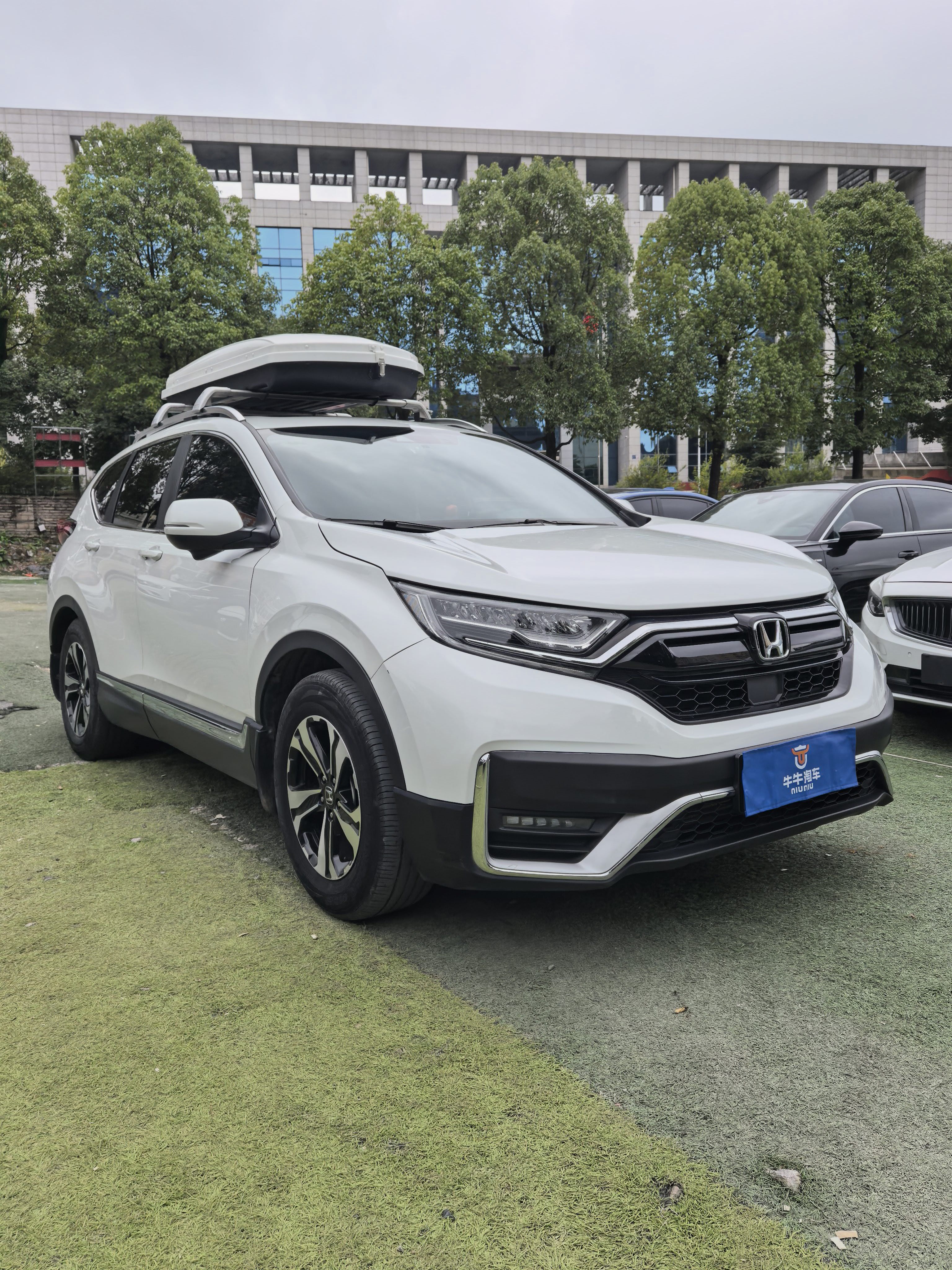 Honda CR-V 2022 car image 