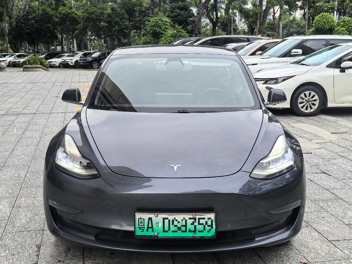 Tesla Model 3 2020 صورة سيارة #2