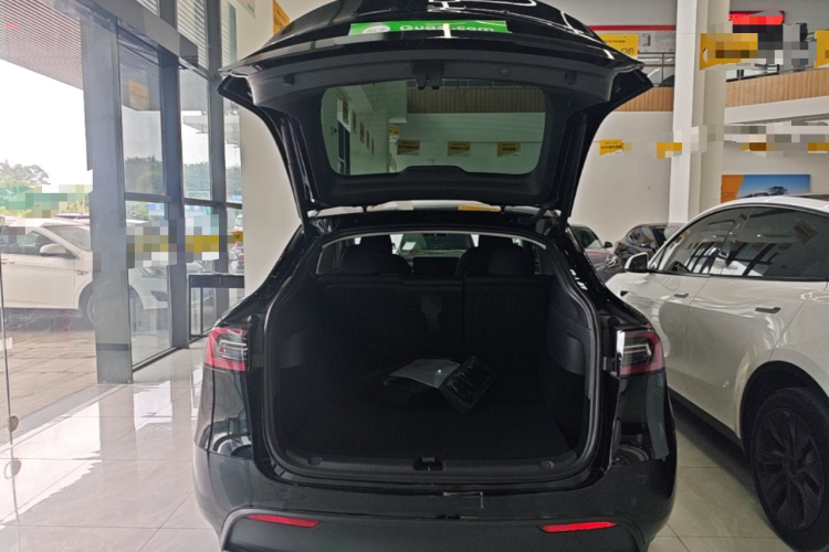 Tesla Model Y 2024 #19 Tesla Model Y 2024 car image #19