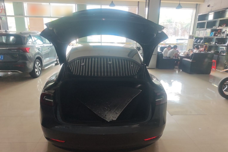 Tesla Model 3 2020 #19 Tesla Model 3 2020 car image #19